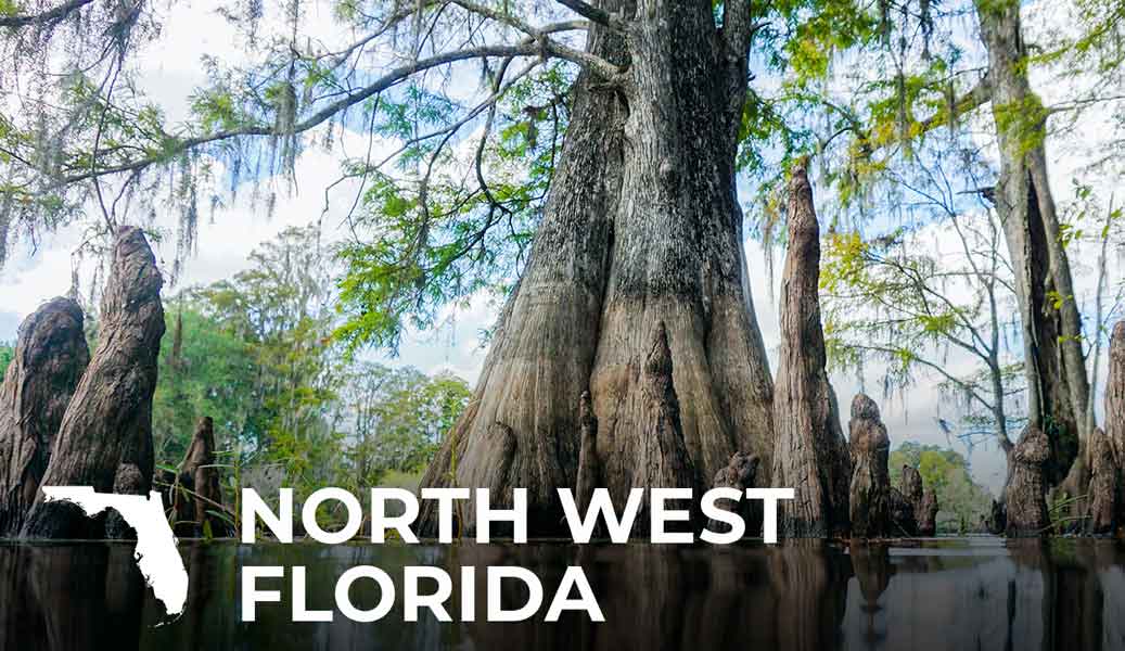 Juniper Springs Florida